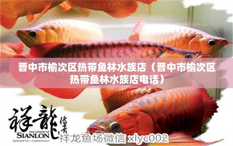 晉中市榆次區(qū)熱帶魚林水族店（晉中市榆次區(qū)熱帶魚林水族店電話）