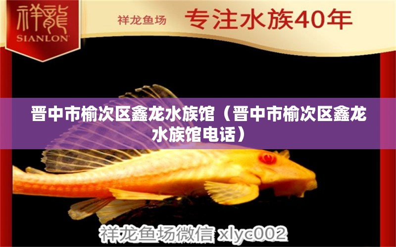 晉中市榆次區(qū)鑫龍水族館（晉中市榆次區(qū)鑫龍水族館電話）