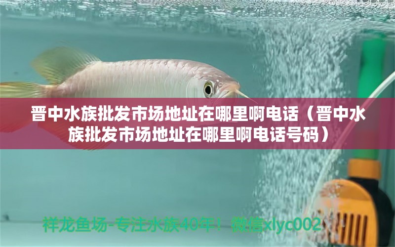 晉中水族批發(fā)市場地址在哪里啊電話（晉中水族批發(fā)市場地址在哪里啊電話號碼） 觀賞魚水族批發(fā)市場