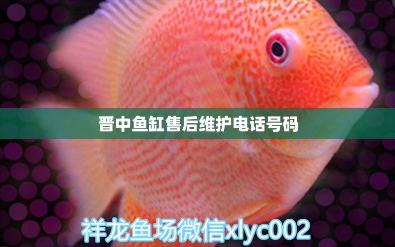 晉中魚缸售后維護電話號碼