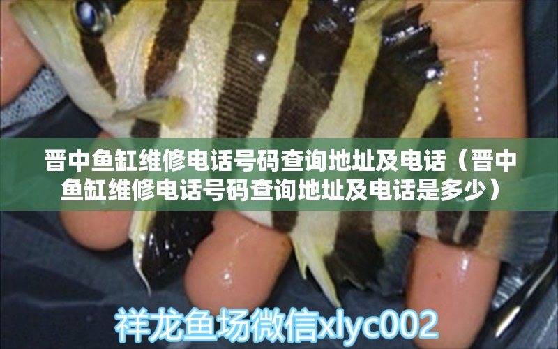 晉中魚缸維修電話號碼查詢地址及電話（晉中魚缸維修電話號碼查詢地址及電話是多少）