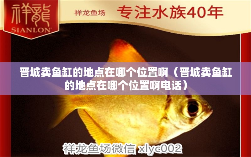 晉城賣(mài)魚(yú)缸的地點(diǎn)在哪個(gè)位置?。〞x城賣(mài)魚(yú)缸的地點(diǎn)在哪個(gè)位置啊電話） 祥龍水族醫(yī)院