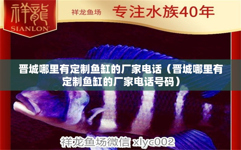 晉城哪里有定制魚缸的廠家電話（晉城哪里有定制魚缸的廠家電話號碼）