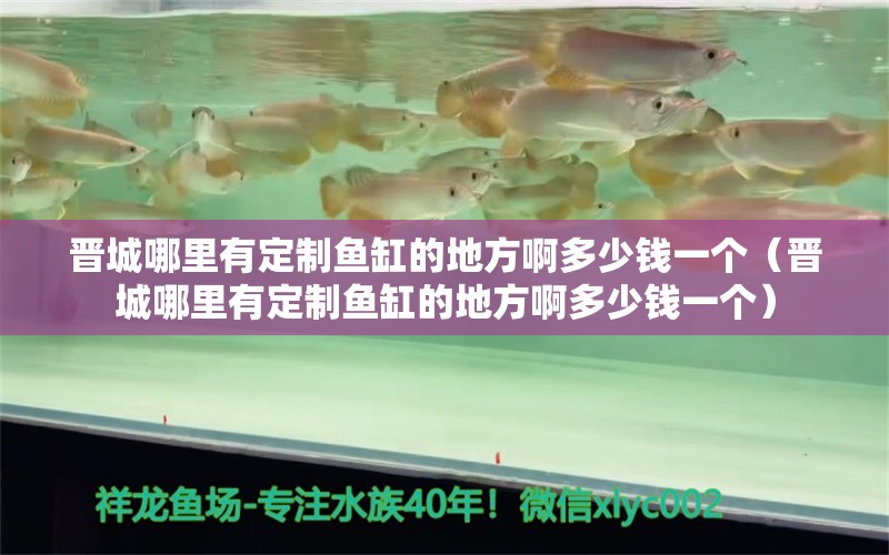 晉城哪里有定制魚缸的地方啊多少錢一個（晉城哪里有定制魚缸的地方啊多少錢一個）