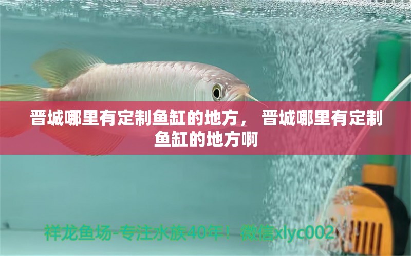 晉城哪里有定制魚缸的地方， 晉城哪里有定制魚缸的地方啊