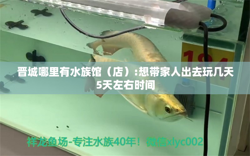 晉城哪里有水族館（店）:想帶家人出去玩幾天5天左右時(shí)間 觀賞魚水族批發(fā)市場(chǎng)