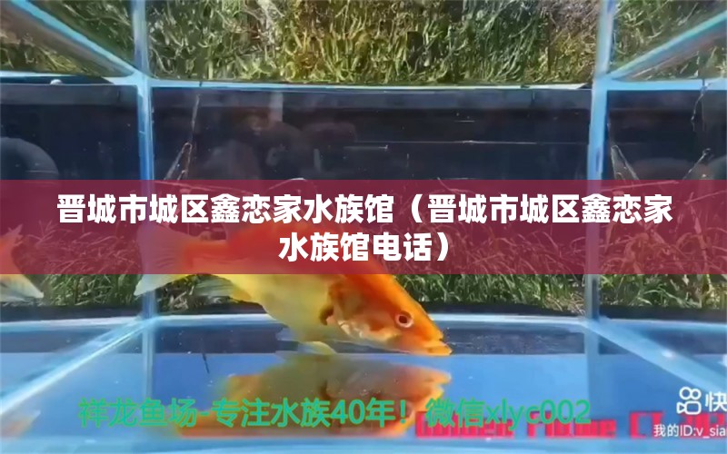 晉城市城區(qū)鑫戀家水族館（晉城市城區(qū)鑫戀家水族館電話） 全國水族館企業(yè)名錄