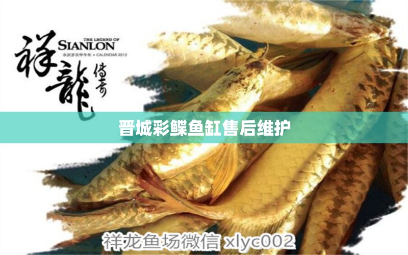 晉城彩鰈魚缸售后維護 彩鰈魚缸（彩蝶魚缸）