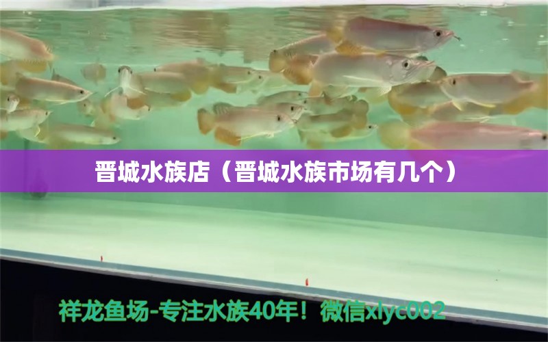 晉城水族店（晉城水族市場有幾個）