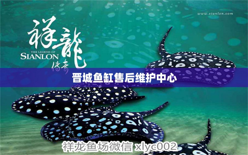 晉城魚缸售后維護中心 其他品牌魚缸