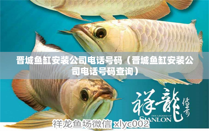 晉城魚(yú)缸安裝公司電話號(hào)碼（晉城魚(yú)缸安裝公司電話號(hào)碼查詢） 白子銀龍魚(yú)苗