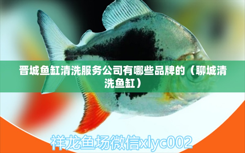 晉城魚缸清洗服務(wù)公司有哪些品牌的（聊城清洗魚缸）