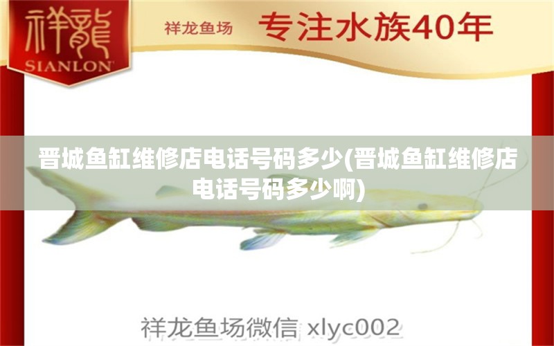 晉城魚(yú)缸維修店電話號(hào)碼多少(晉城魚(yú)缸維修店電話號(hào)碼多少啊) 龍魚(yú)芯片掃碼器