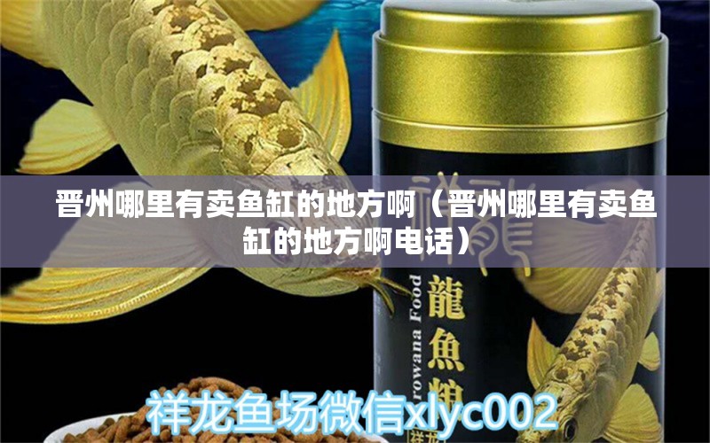 晉州哪里有賣魚缸的地方?。〞x州哪里有賣魚缸的地方啊電話）