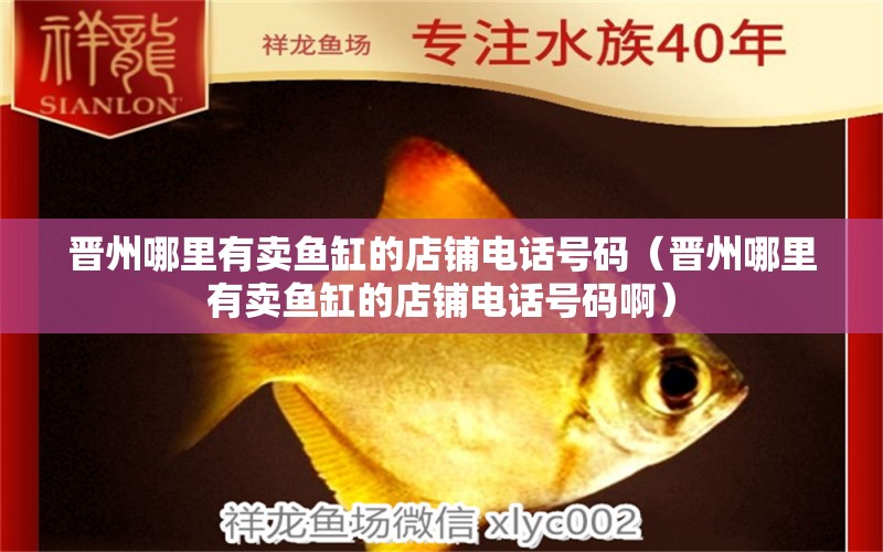 晉州哪里有賣魚缸的店鋪電話號碼（晉州哪里有賣魚缸的店鋪電話號碼?。? title=