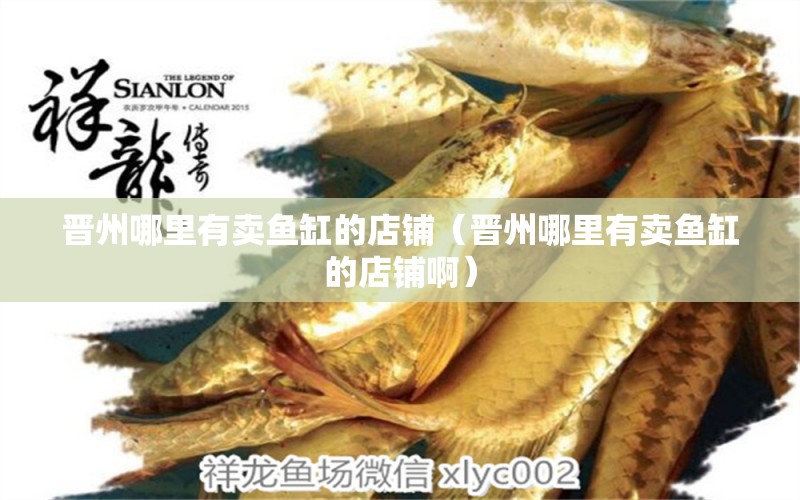 晉州哪里有賣魚缸的店鋪（晉州哪里有賣魚缸的店鋪?。? title=