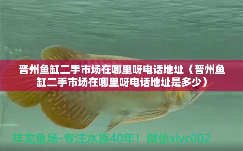 晉州魚缸二手市場在哪里呀電話地址（晉州魚缸二手市場在哪里呀電話地址是多少）