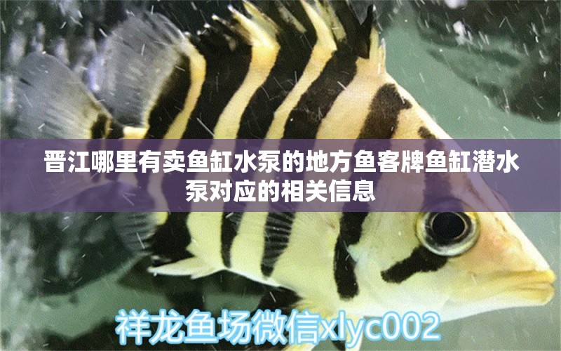 晉江哪里有賣魚缸水泵的地方魚客牌魚缸潛水泵對應的相關信息 魚缸水泵