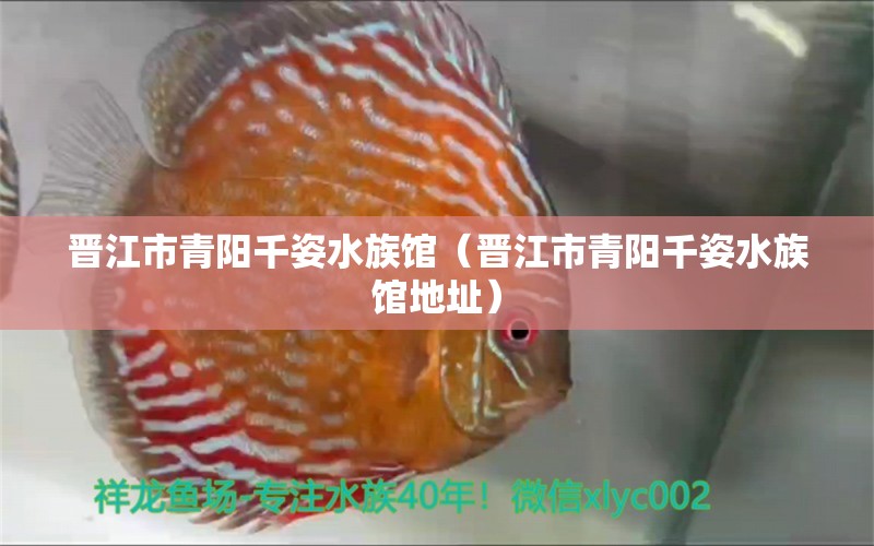 晉江市青陽千姿水族館（晉江市青陽千姿水族館地址） 全國水族館企業(yè)名錄