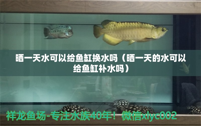 曬一天水可以給魚缸換水嗎（曬一天的水可以給魚缸補(bǔ)水嗎）