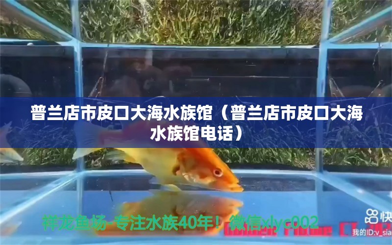 普蘭店市皮口大海水族館（普蘭店市皮口大海水族館電話）