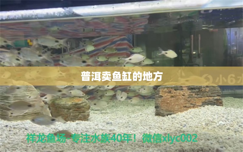 普洱賣魚缸的地方