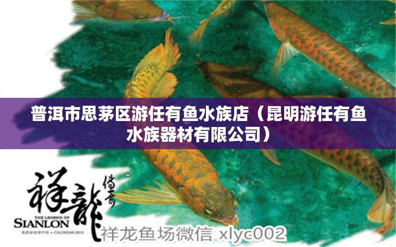 普洱市思茅區(qū)游任有魚水族店（昆明游任有魚水族器材有限公司）