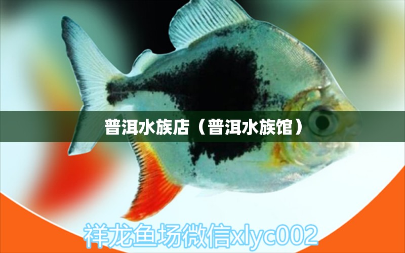 普洱水族店（普洱水族館） 觀賞魚市場(chǎng)