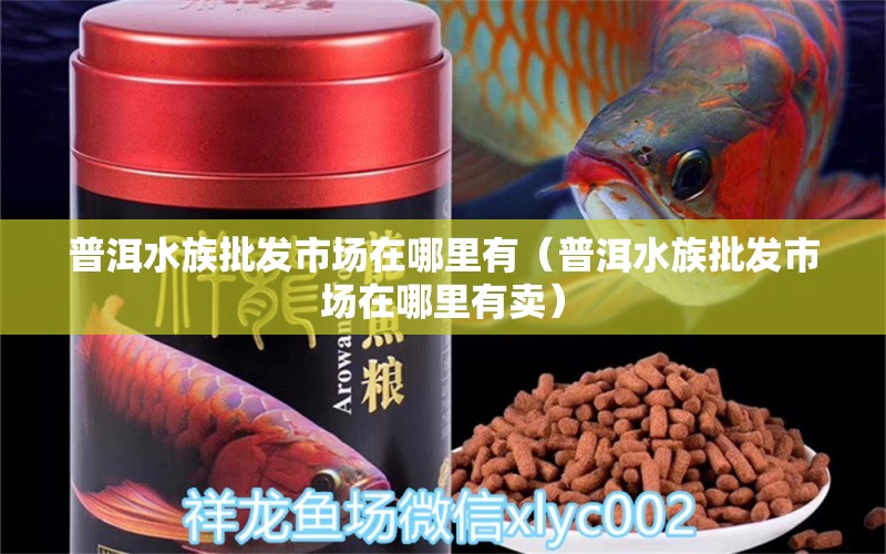 普洱水族批發(fā)市場在哪里有（普洱水族批發(fā)市場在哪里有賣） 觀賞魚水族批發(fā)市場