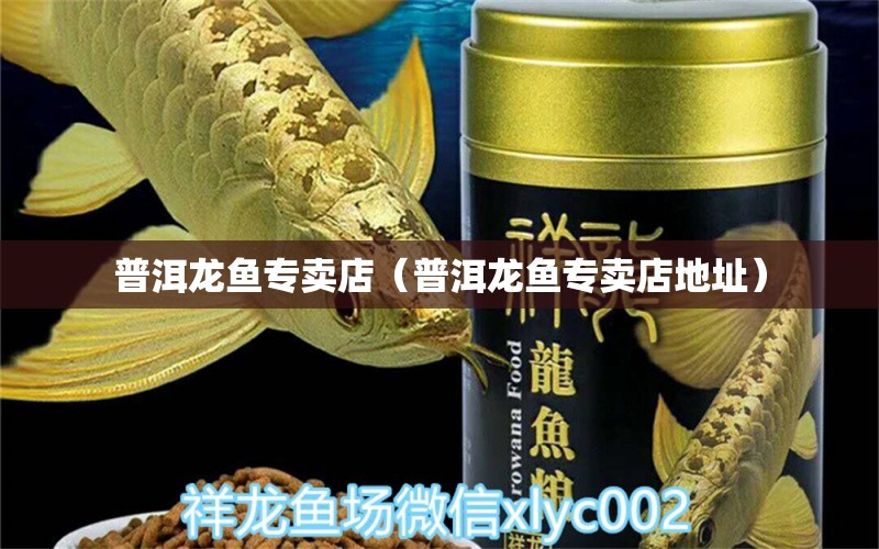 普洱龍魚專賣店（普洱龍魚專賣店地址）