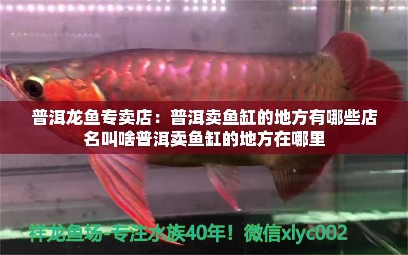 普洱龍魚專賣店：普洱賣魚缸的地方有哪些店名叫啥普洱賣魚缸的地方在哪里