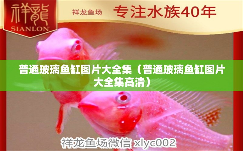 普通玻璃魚缸圖片大全集（普通玻璃魚缸圖片大全集高清）