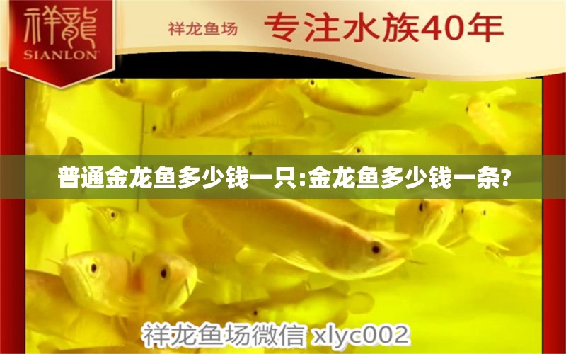 普通金龍魚多少錢一只:金龍魚多少錢一條? 熊貓異形魚L46 第1張