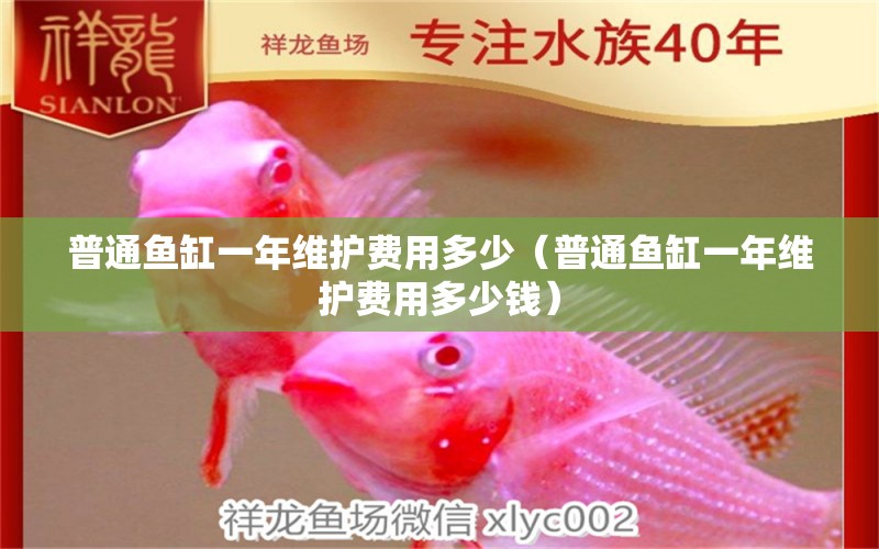 普通魚缸一年維護(hù)費(fèi)用多少（普通魚缸一年維護(hù)費(fèi)用多少錢）