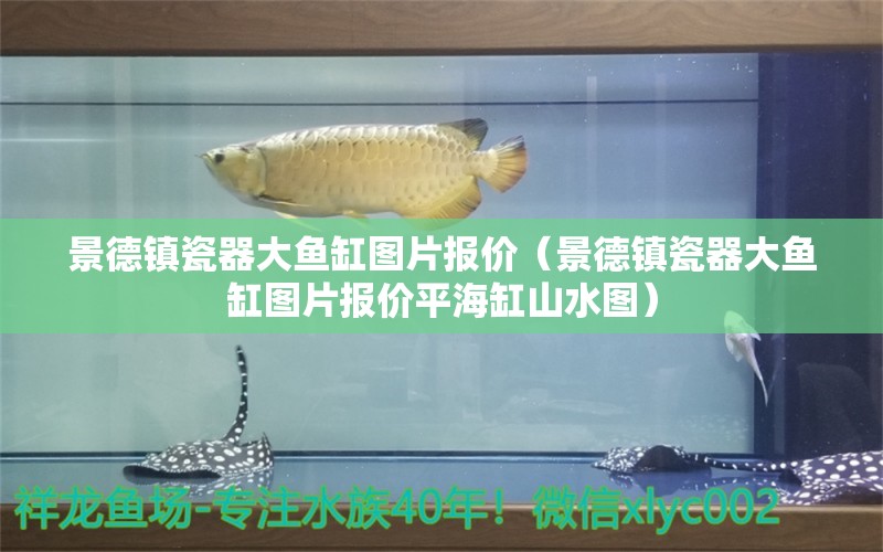 景德鎮(zhèn)瓷器大魚缸圖片報(bào)價(jià)（景德鎮(zhèn)瓷器大魚缸圖片報(bào)價(jià)平海缸山水圖）