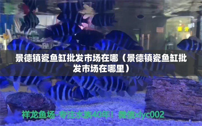 景德鎮(zhèn)瓷魚缸批發(fā)市場在哪（景德鎮(zhèn)瓷魚缸批發(fā)市場在哪里）