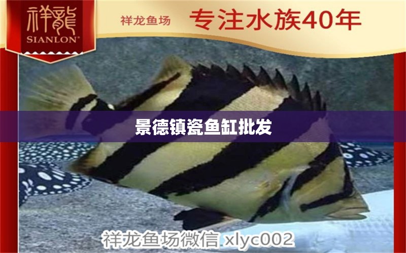 景德鎮(zhèn)瓷魚缸批發(fā)