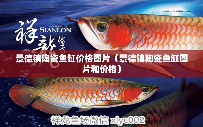 景德鎮(zhèn)陶瓷魚缸價格圖片（景德鎮(zhèn)陶瓷魚缸圖片和價格）