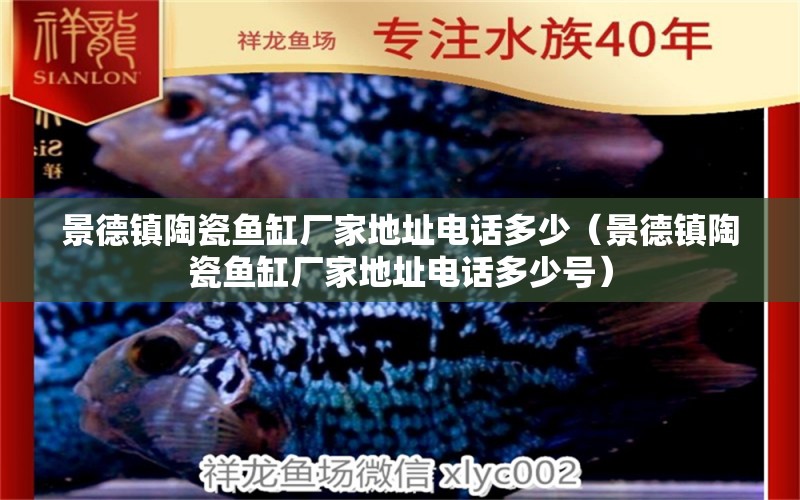 景德鎮(zhèn)陶瓷魚缸廠家地址電話多少（景德鎮(zhèn)陶瓷魚缸廠家地址電話多少號）