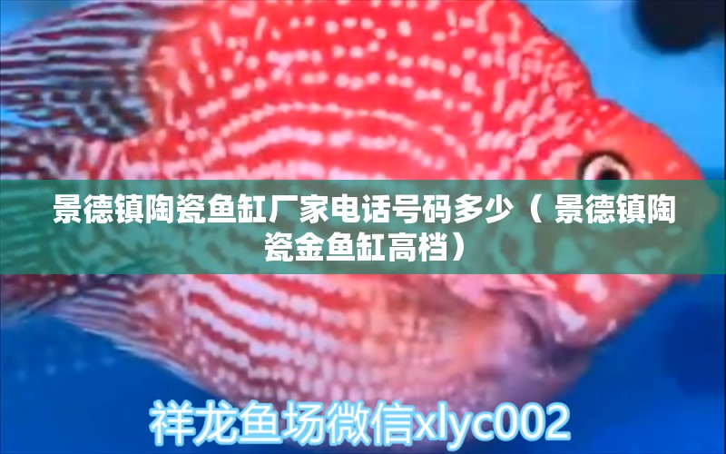 景德鎮(zhèn)陶瓷魚缸廠家電話號(hào)碼多少（ 景德鎮(zhèn)陶瓷金魚缸高檔）