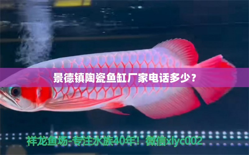 景德鎮(zhèn)陶瓷魚缸廠家電話多少？