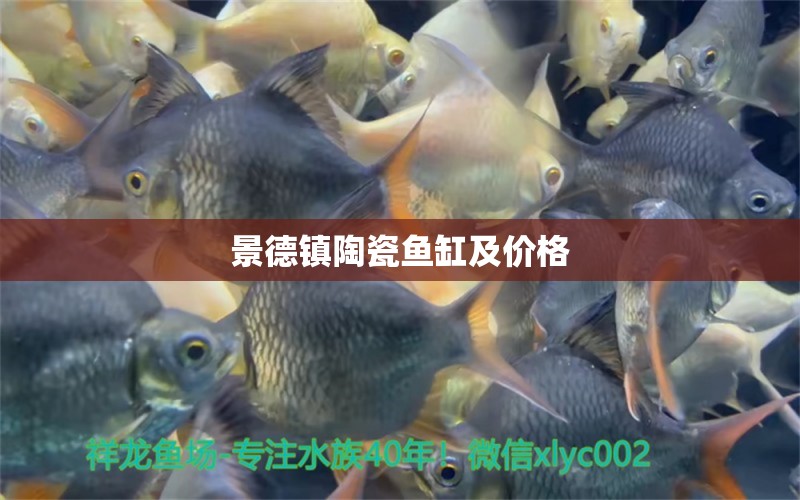 景德鎮(zhèn)陶瓷魚缸及價格