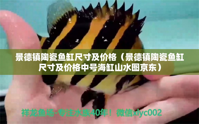 景德鎮(zhèn)陶瓷魚缸尺寸及價格（景德鎮(zhèn)陶瓷魚缸尺寸及價格中號海缸山水圖京東）