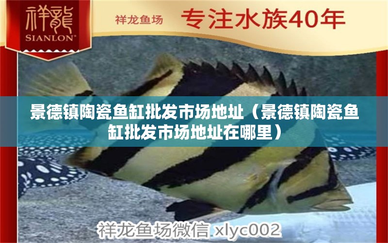 景德鎮(zhèn)陶瓷魚缸批發(fā)市場地址（景德鎮(zhèn)陶瓷魚缸批發(fā)市場地址在哪里） 其他品牌魚缸