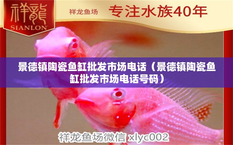 景德鎮(zhèn)陶瓷魚缸批發(fā)市場電話（景德鎮(zhèn)陶瓷魚缸批發(fā)市場電話號碼） 其他品牌魚缸