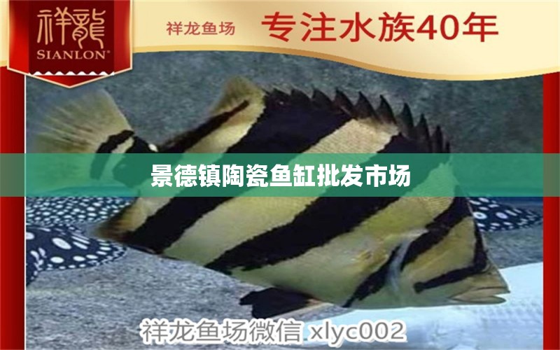 景德鎮(zhèn)陶瓷魚缸批發(fā)市場(chǎng) 其他品牌魚缸