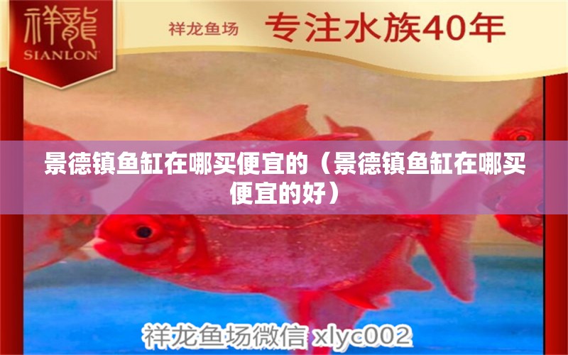 景德鎮(zhèn)魚缸在哪買便宜的（景德鎮(zhèn)魚缸在哪買便宜的好） 其他品牌魚缸