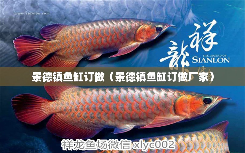 景德鎮(zhèn)魚缸訂做（景德鎮(zhèn)魚缸訂做廠家） 廣州龍魚批發(fā)市場(chǎng)