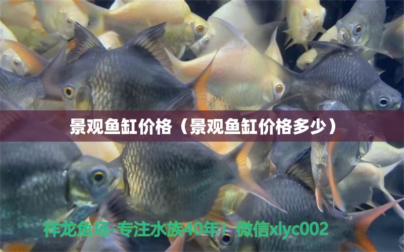 景觀魚缸價格（景觀魚缸價格多少） 水族燈（魚缸燈）