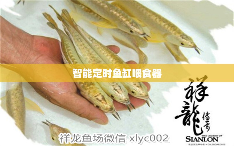 智能定時(shí)魚(yú)缸喂食器